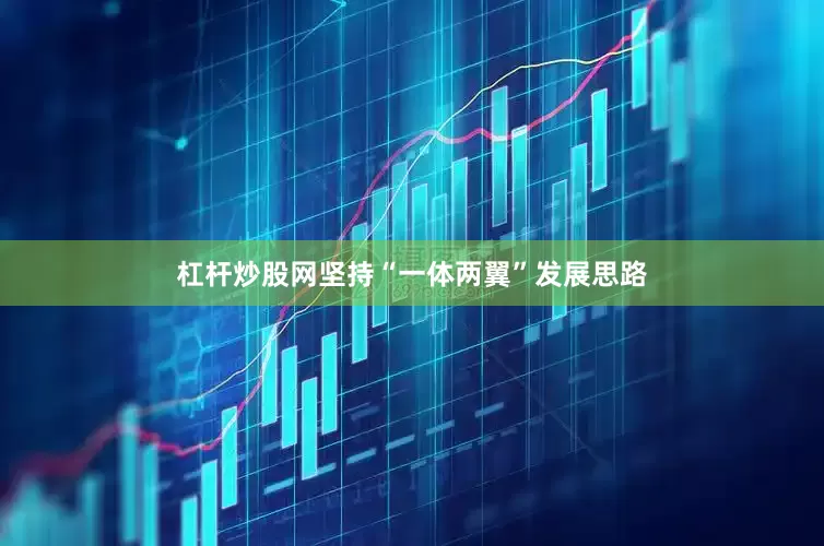 杠杆炒股网坚持“一体两翼”发展思路